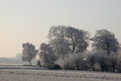 winter-in-lisse2