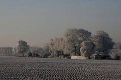 winter-in-lisse4