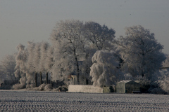 winter-in-lisse5